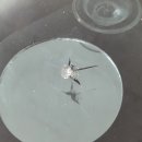 지오자동차공업사 이미지