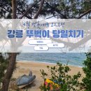 CU 망우행복점 | 벚꽃과 함께한 뚜벅이 당일치기 강릉여행 :: 추천 코스, 맛집, 놀거리