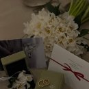 지  사 | 🎀지타워컨벤션 아이폰 스냅 본식 후기 메아로사 추천🎀
