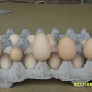 청리카페