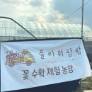 대동농장 | 부산 경남김해 어린이 꽃 농장 수확체험 [플라워팜팜]