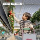 성연농장 이미지