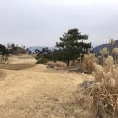 포레스트힐cc 이미지