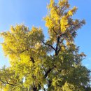 전주향교 이미지