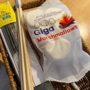 사라보카 이미지