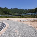 김천땅콩 이미지