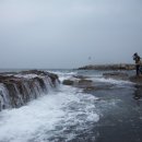 돌고래당구장 이미지