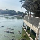 시암농장 이미지