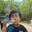 한국체대 봄 태권도장 이미지