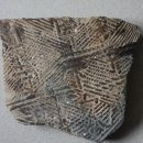 거사목장 이미지