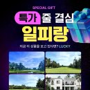 피랑 이미지