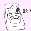 바디채널휘트니스 | [농성동 헬스장] 실제 회원님 바디프로필 도전, 몸의 변화와 후기 올라운드 휘트니스 신세계점