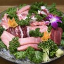 사조회참치 이미지