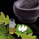 (주)제이에스바이오글로벌 | 바이오와 첨단 소재 결합주, 제이에스링크 성장 잠재력 분석