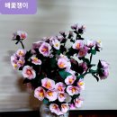 천지화