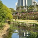 서천레스피아 이미지