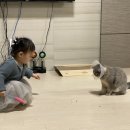 아띠아지 | 잎새달 열이레,