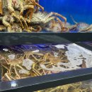 속초관광수산시장 주차장 2 이미지