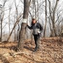 화천3리신기 이미지