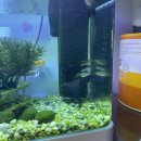 이복순의원 이미지