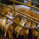 이재형농장 이미지