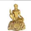 애견코리아 이미지