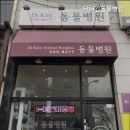 닥터김 동물병원 이미지