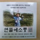 구름뜰농장 네이버블로그