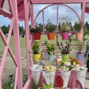 태평중앙2길 | 한참 지난 봄