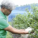 권오선농장 이미지