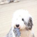 국선농장 이미지