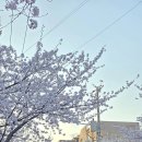 20250409-20 옥상달빛 옥캉스 후기 (1)