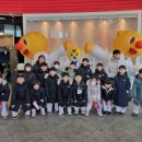 용인대노원태권도체육관 이미지