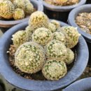 벧엘농원 이미지