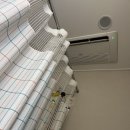 김성전·김시찬이비인후과의원 | 김장 4일 앞두고 A형 독감에 걸려버린 O형 여자.