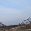 부자 AI 센타 이미지