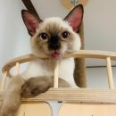 나비동물병원 이미지