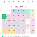 연인들의사랑이야기풀빌라 이미지