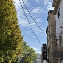 월성속사랑내과의원 | 김해 국가검진 / 당일진료가능 삼계 가슴속사랑 내과의원
