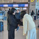 케이툴 | 일본 도쿄 여행 다이슨 에어랩 110V 공항 대여 :: 케이플로밍 내돈내산 후기