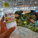 홍대입구역 4번 출구, CGV 앞 네이버블로그