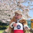 국민체육센터 앞 횡단보도 이미지