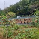 봉우농장 이미지