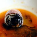 외포리꽃게집 이미지