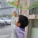 옛날칼국수김밥 이미지