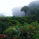 용천2리 이미지