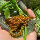 평화김해뒷고기 옥계점 이미지