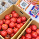 달달청과 | 구미과일가게 새마을 중앙시장 맛집 신선하고 달달한 사계절청과 선물세트