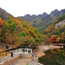 구봉산 Daum카페