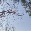 12월 7일 오봉/덕성산. 이미지